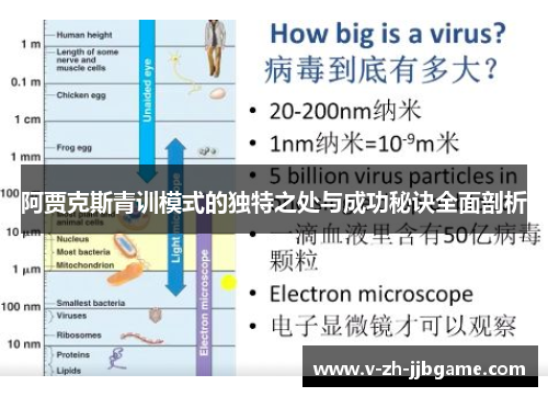 阿贾克斯青训模式的独特之处与成功秘诀全面剖析